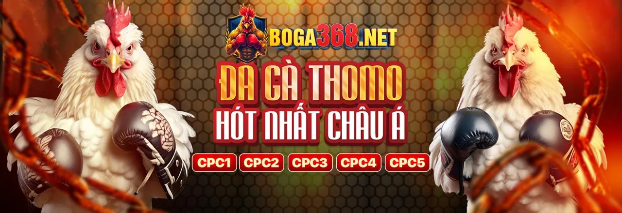 Đá gà trực tuyến kịch tính tại HB888 Win