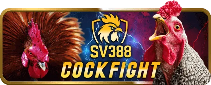 Biểu tượng bảo mật và dữ liệu an toàn tại hb888 win